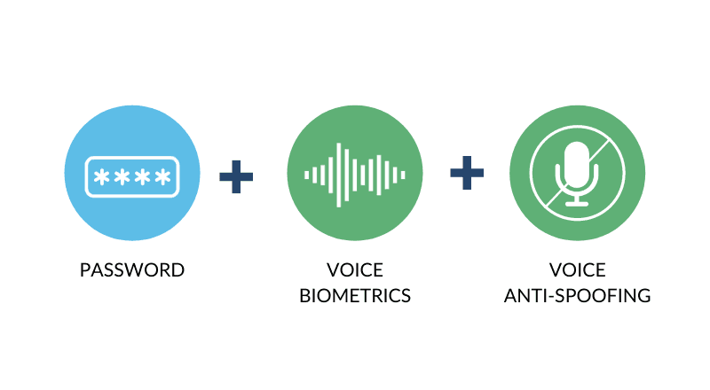 Voice for strong customer authentication